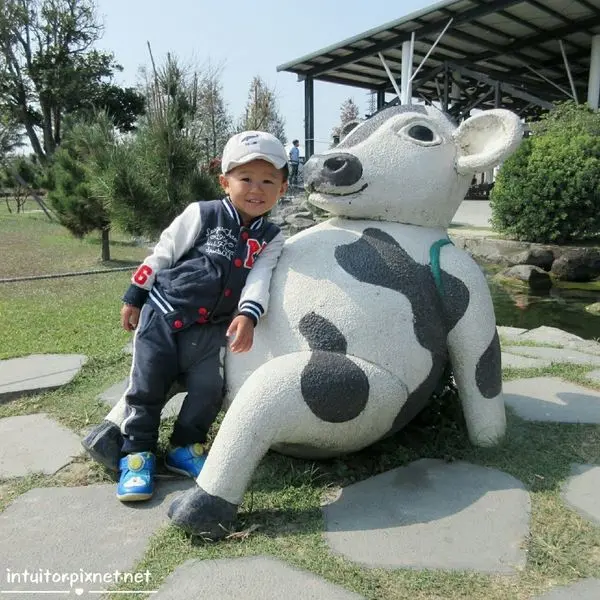 [雲林]無法抵擋的牧場魅力，餵牛餵魚玩沙雲林崙背免門票親子景點