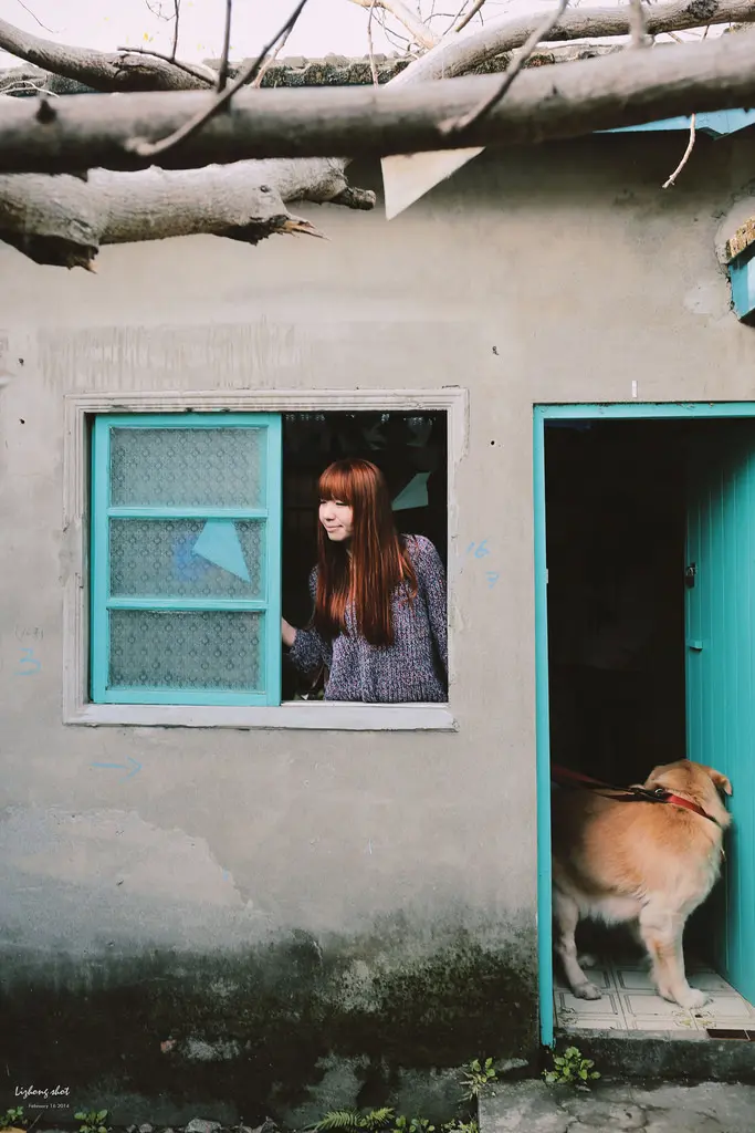 小狗的眷村巡禮_中壢馬祖新村