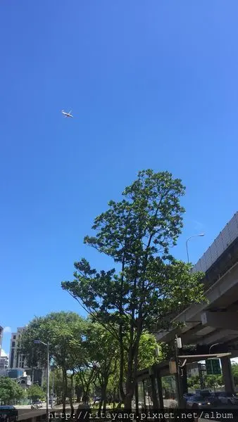 【包場慶】20170826 Muse Cafe 相聚開心~推薦