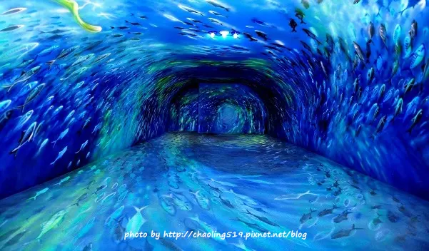 【蘇澳 / 展館】祝大魚物產文創館。360度3D立體擬真漁龍捲海底隧道(好逼真!!!)