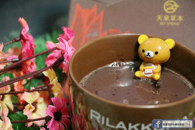 【羽諾愛漂亮】天泉SKY SPRING-燃燒可可飲❤燃燒熱量ing 羽諾懶人減肥的小撇步