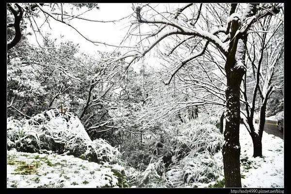 20160124汐止五指山賞雪