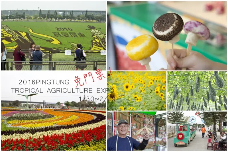 2016屏東熱帶農業博覽會（彩虹花海、霹靂彩稻、瓜果綠廊）