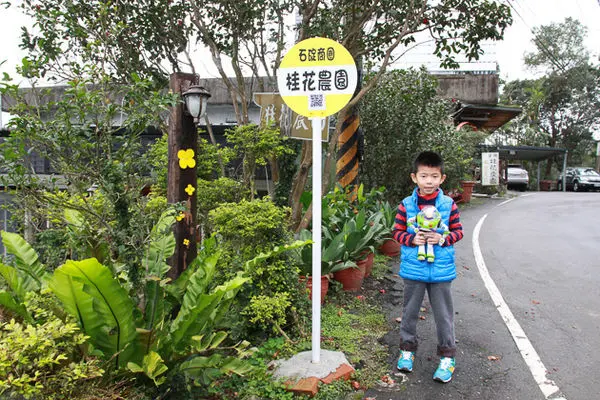 【新北市石碇區景點】茶鄉桂花農園。桂花饗宴及手採桂花釀DIY