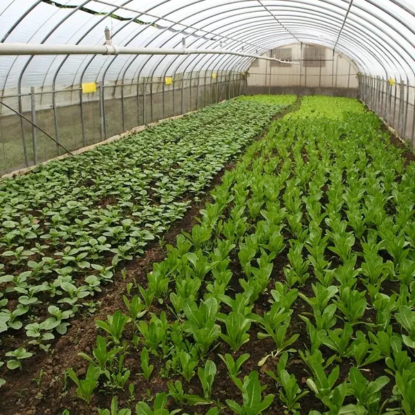 九斗村休閒有機農場