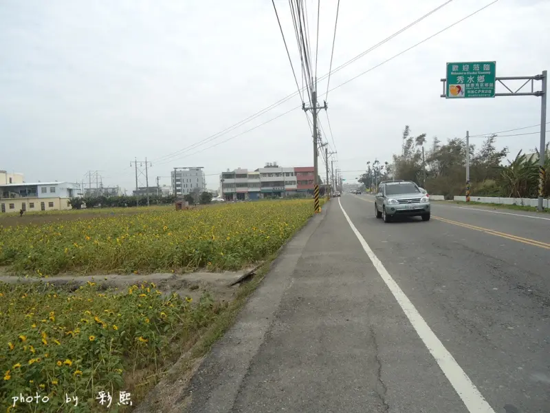【彰化。秀水】 金稜風車花海節~2016春節避開人潮景點