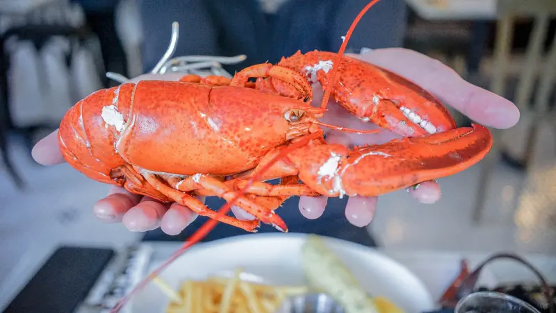 『魔王食記』台北大安 與龍共舞 大龍蝦伴你左右 LE BLANC 氣氛好 餐點棒 價位合理的小酒館 『內文有店家資訊』