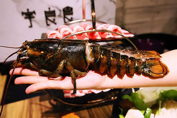 宇良食 健康鍋物~超值好鍋~愛評體驗團