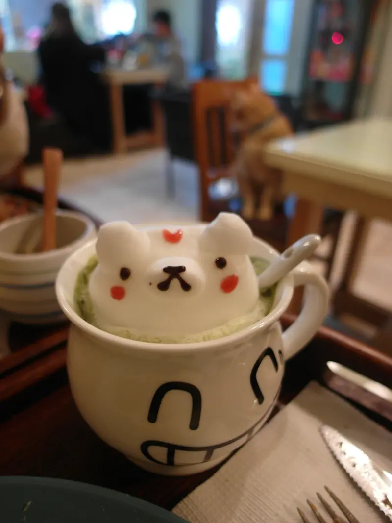 龜山｜南美村ㄚ狗ㄚ貓 ♥ 立體拉花