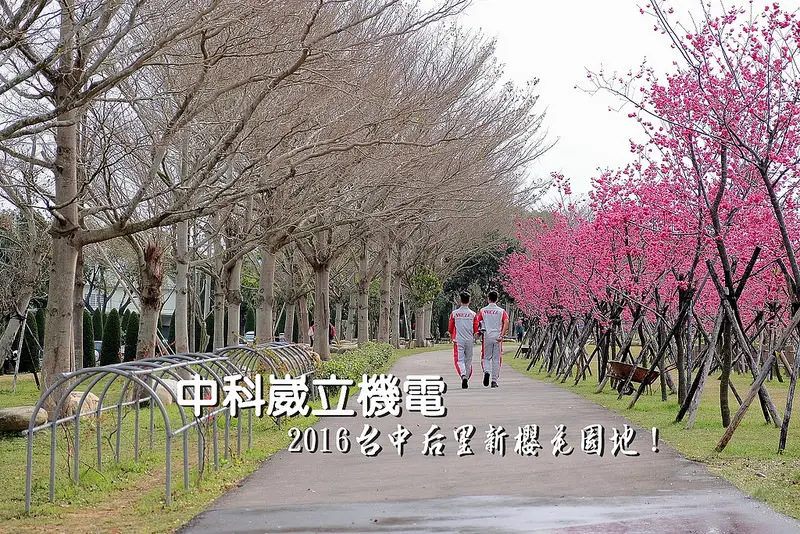 ▶【台中-花季】2016台中后里新櫻花園地☞「崴立機電」中科后里園區櫻花步道（花況：2016/3/4）