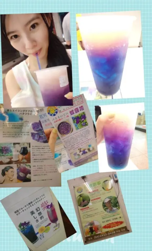 台灣雷夢♥一生一定要喝一次的夢幻飲料♥蝶豆花檸檬冰茶