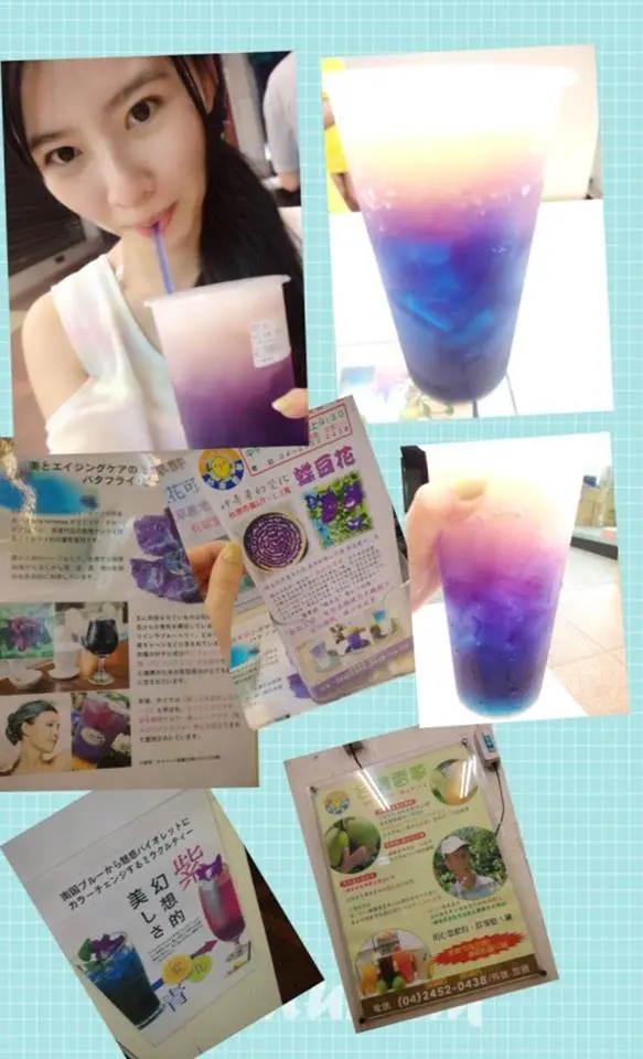台灣雷夢♥一生一定要喝一次的夢幻飲料♥蝶豆花檸檬冰茶
