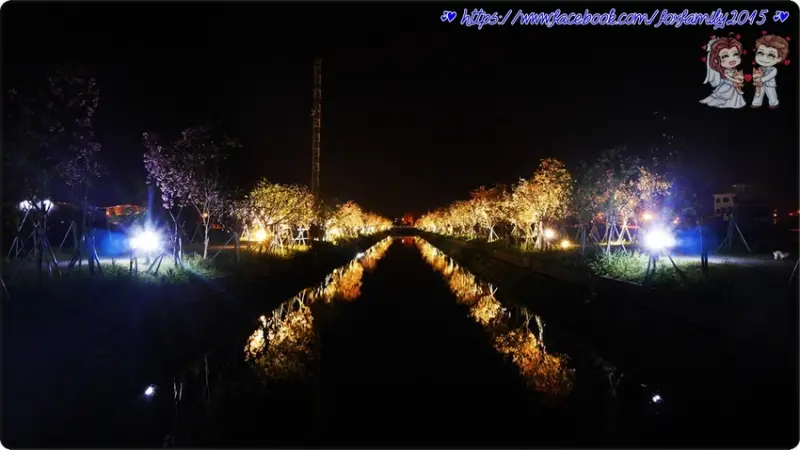 宜蘭♥♡♥羅東鎮羅莊櫻花步道