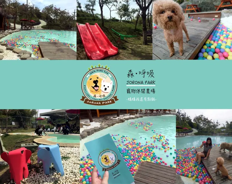 [台南-關廟]森‧呼吸Jorona Park♫為寵物量身打造的休閒農場♥超大寵物戲水池＋大片草地＋彩色球球＋溜滑梯寵物好開心！咖啡廳/舒適童真佈置讓主人也好放鬆！