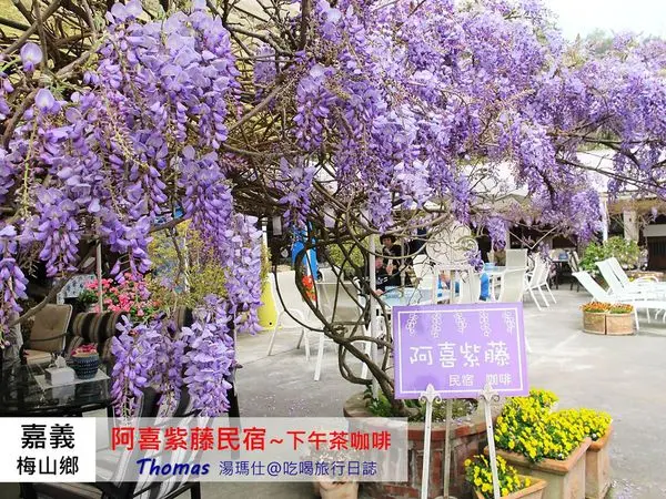 【嘉義｜玩】紫色浪漫「阿喜紫藤民宿.下午茶」®瑞里紫藤花季盛開