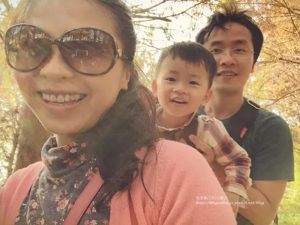 【南投落羽松】紅通通宛如入畫-----國姓落羽松祕境