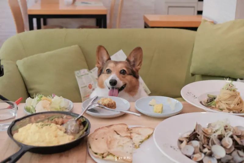 森林小徑 文心店｜台中寵物友善餐廳｜是親子友善，亦是寵物友善 ♥ 餐點好吃、CP值高，隨便點都無地雷！