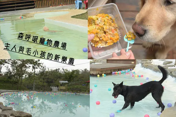【寵物旅遊】毛小孩的樂園～『森・呼吸JORONA PARK寵物農場』