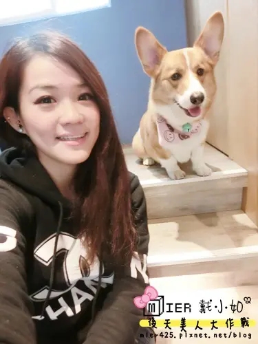 【食記】捷運忠孝新生 The Paw Hotel 餐桌上的跑飯店 TUTTI CAFE 狗狗寵物餐廳 