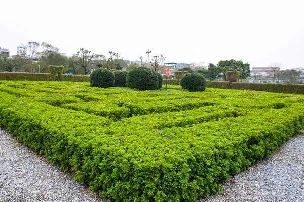 【台北市景點】新生公園。迷宮花園。林安泰古厝。假日休閒的好去處