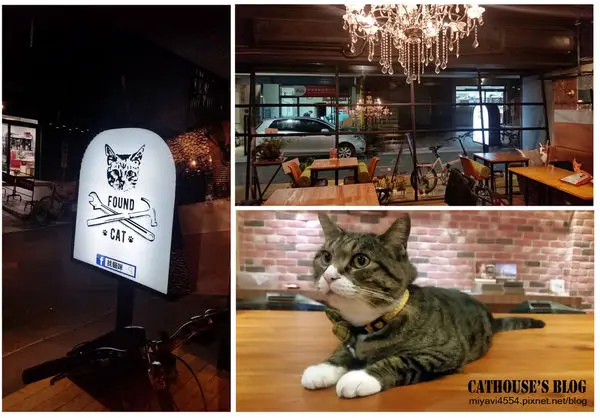 【食記】找貓咪 Found Cat ️ cafe &bar❤隱身台北巷弄的療癒系貓餐廳❤❤❤
