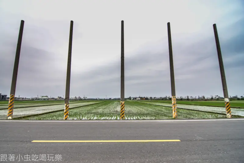 五結稻田裡的電線桿