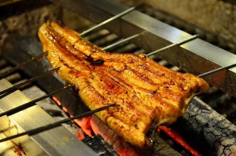 中西區美食_城前料理亭│台南日式料理推薦，現烤鰻魚飯、蝦蝦蟹蟹茶碗蒸推薦！ - 愛伊特candy的分享樂園