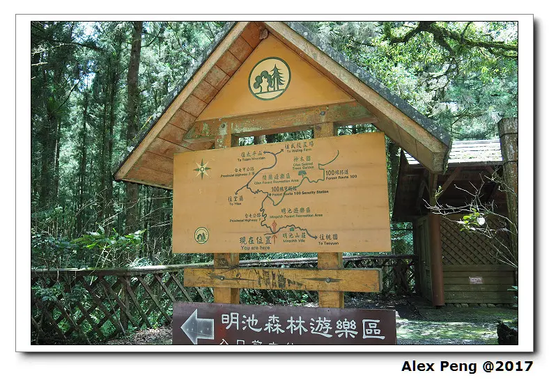 宜蘭縣-大同鄉-明池國家森林遊樂區 繡球花+祥發茶香煙燻滷味