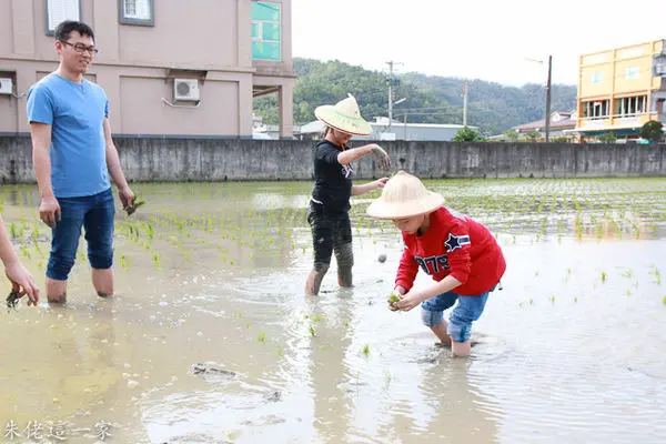 【宜蘭景點】民豐有機米。快樂農夫的插秧體驗跟米飯糰DIY