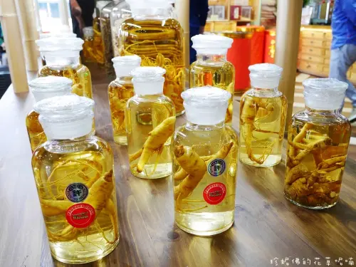 【宜蘭市】花旗參館（觀光工廠） & CP Cheese Factory 超品烘焙工坊