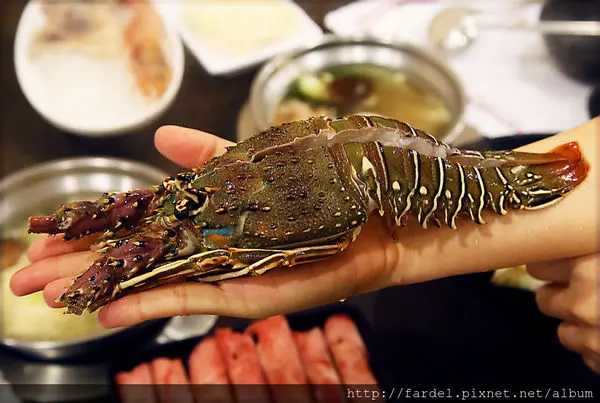 十勝川鍋物大里二店~高貴不貴美味龍蝦鍋