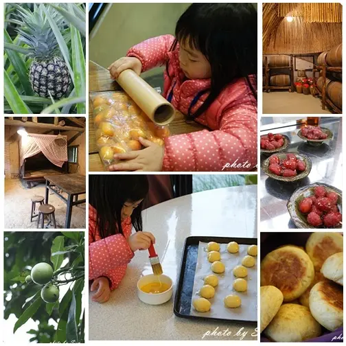 【蘭陽玩學院】宜蘭二湖鳳梨館~金桔親子DIY~來宜蘭 學著玩 玩著學 宜蘭好好吃 好好玩~ 宜蘭親子一日遊 跟著雄獅旅行社一起去旅行