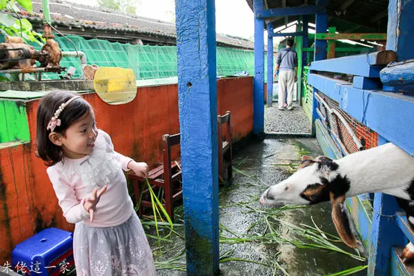 【宜蘭景點】水鹿咖啡。親子餐廳。迷你觀光牧場免費餵小動物