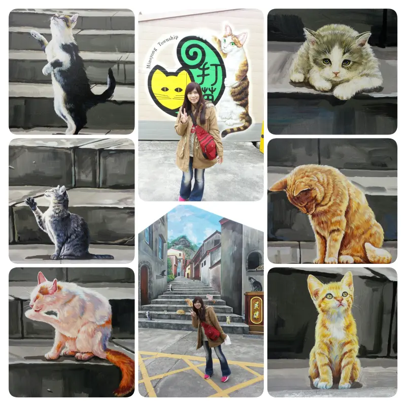 【嘉義景點】哇!眾貓盤據誤以為來到貓村囉~民雄鄉公所貓彩繪牆              