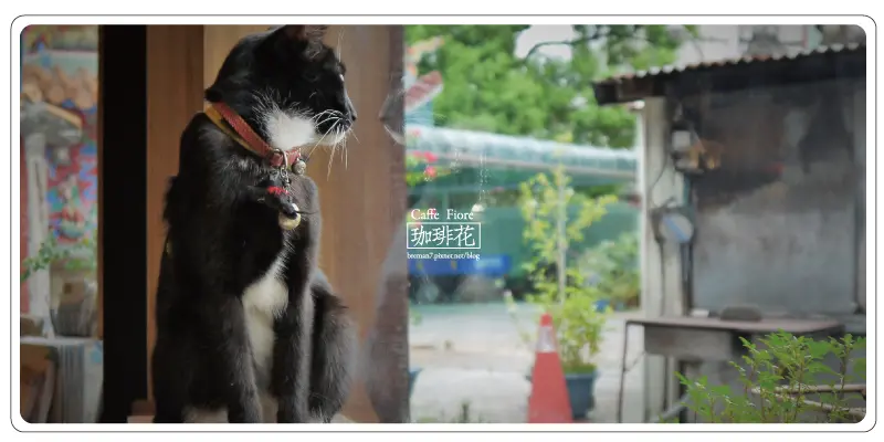 《花蓮咖啡小記》老木屋裡的文青花香味─Caffe Fiore珈琲花