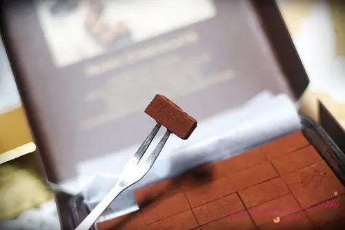 【食．士林】一吃就上癮，難以忘懷的甜蜜滋味。SCHOKOLAKE 巧克力雲莊-士林店 #生巧克力 #恐龍diy #手工巧克力 #木輪蛋糕 #捷運士林站