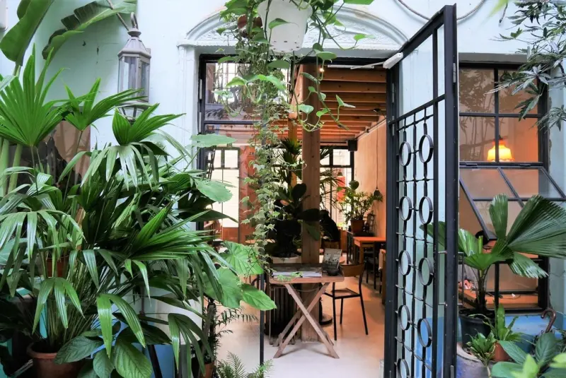 【台南中西區 | 餐廳】滿園與舊時空交錯的綠意❦來了。老宅風格餐廳