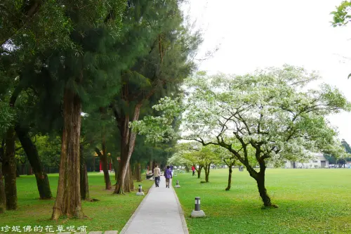 【桃園-龍潭區】2019北區水資源局賞流蘇花