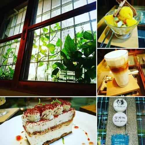 跟著貓咪走，在牆壁後方藏了什麼？～穿牆貓  Cat  Traveller