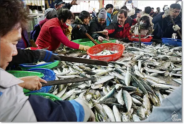 『新竹。香山』 旬好魚 明發定置漁場-香山走透透小旅行之第一手現撈魚獲拍賣魚場，直接跟漁民買魚，輕輕鬆鬆吃台灣在地、新鮮當季的第一手野生好魚，每日限時拍賣正港「台灣野生現撈魚」，天然野生、海上直送，「