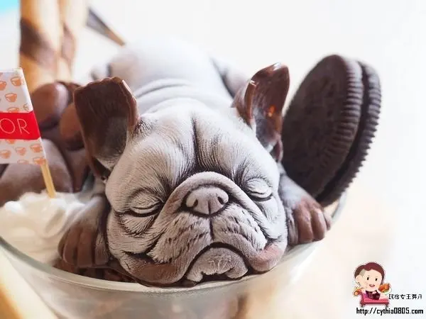 中壢也出現了超逼真的法鬥巧克力啊，怎麼可以吃狗狗~~