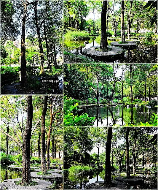 【高雄】鳳山區。大東公園 生態溼地教育區 （高雄版迷你忘憂森林）        
      