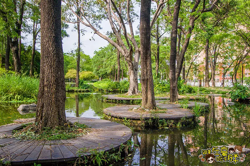 [高雄景點] 高雄版忘憂森林！大東濕地公園 賞花、賞蝶 親子娛樂好地方