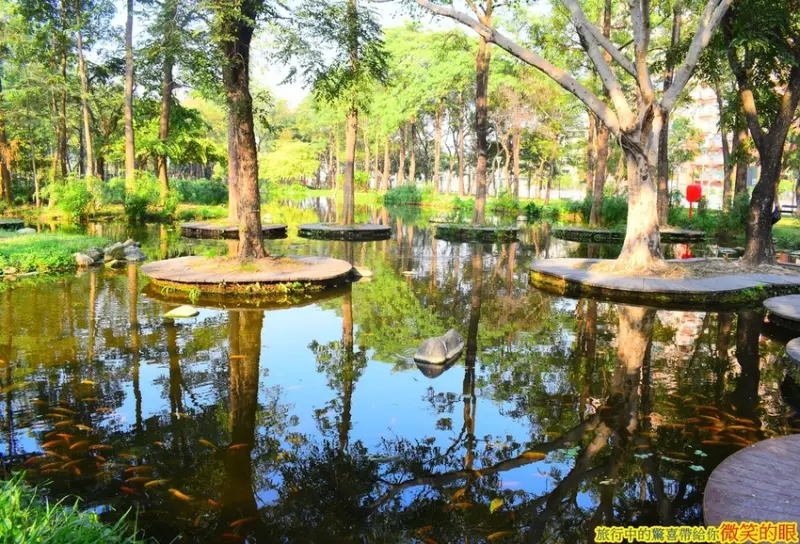 【高雄版忘憂森林】大東濕地公園~擁有如夢似幻的鏡面美景~搭乘捷運即可輕鬆抵達~