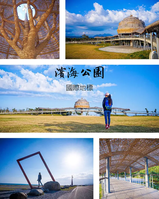 國際地標。向陽樹。台東景點。台東海濱公園。每晚8點、9點各一場光雕音樂秀。共生鳥巢變身溫暖向陽樹