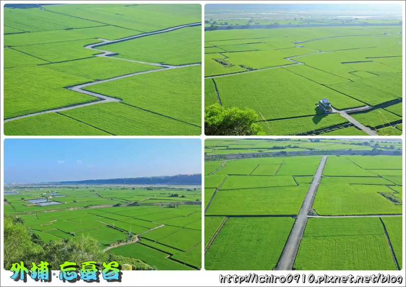 [遊記]【台中市外埔區】2016外埔忘憂谷。大地拼布之稻田美景