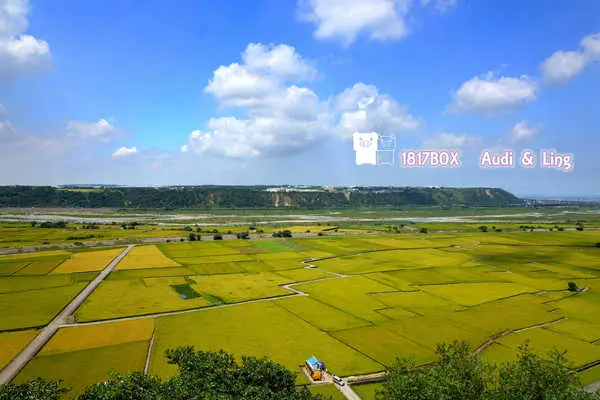 【台中。外埔】夏之忘憂谷。春耕。夏耘。秋收。冬藏。四季變化。農村之美