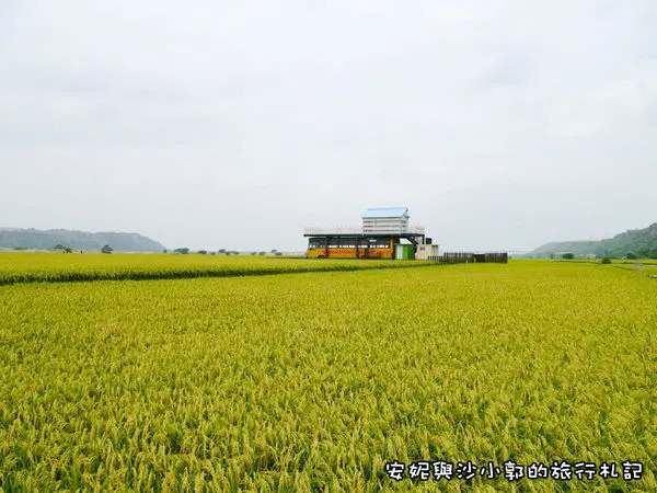 【台中。外埔】黃澄澄的稻穗絕美畫布  隱身在黃金稻田裡的忘憂巴士-忘憂谷