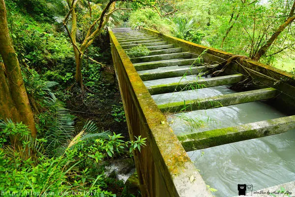 【台中。后里】后里圳水道。隱藏在泰安舊山線月台後方山道。專門給水走的渡槽