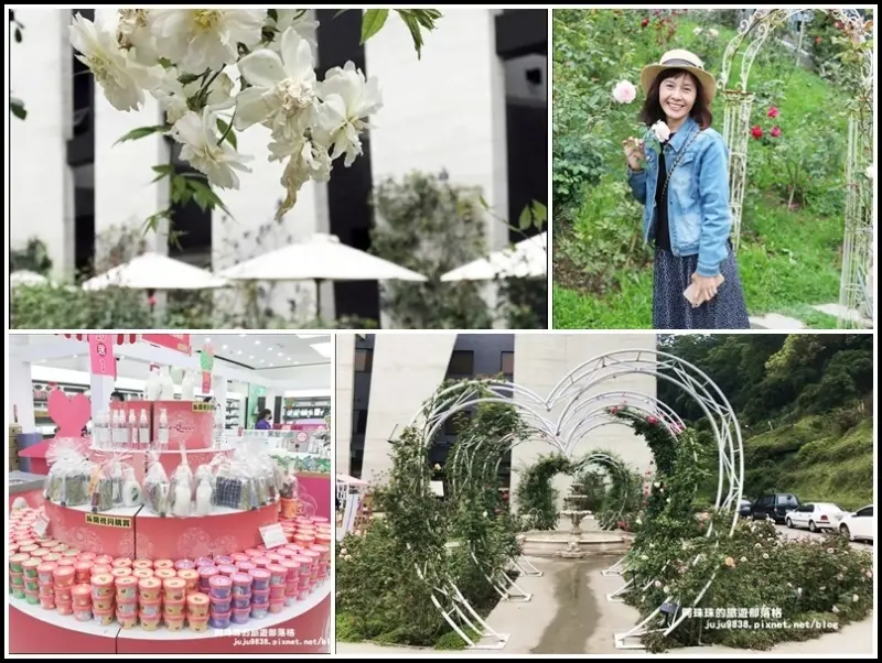 苗栗頭屋。雅聞七里香玫瑰森林玫瑰季。浪漫歐式玫瑰花園｜好拍好買免收門票